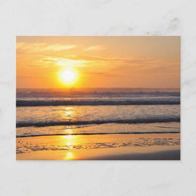 Postal Naranja Beach Sunrise Wilbur By Sea FL Postcard (Anverso)