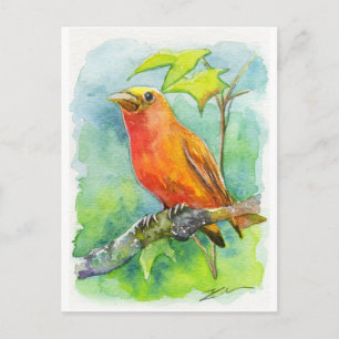 Postal Naranja Bird