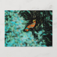 Naranja brillante y pescado beta azul