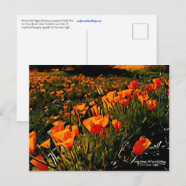 Postal Naranja Cachorros de oro mexicanos florecen en pri