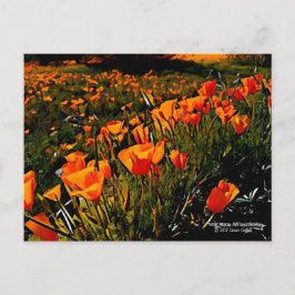 Postal Naranja Cachorros de oro mexicanos florecen en pri