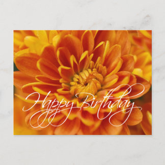Postal Naranja Chrysanthemum Feliz cumpleaños