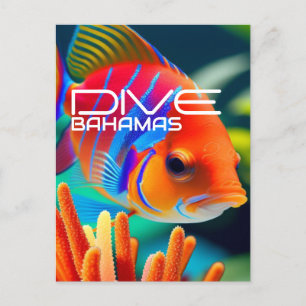 Postal Naranja de Dive Bahamas - Planificador