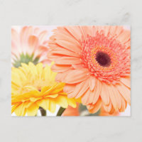 Naranja De Engranajes Florales Y Daisies De Gerber