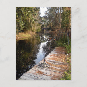 Postal Naranja de Florida