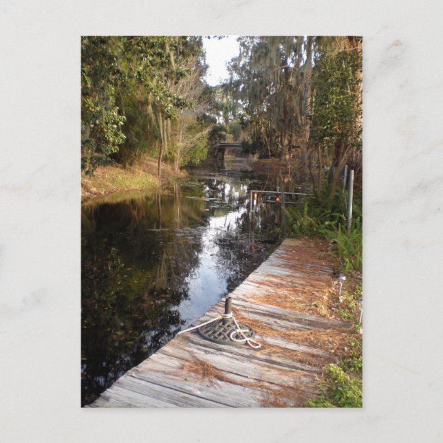 Postal Naranja de Florida (Anverso)