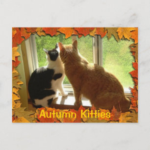 Postal Naranja de otoño Tabby Cats