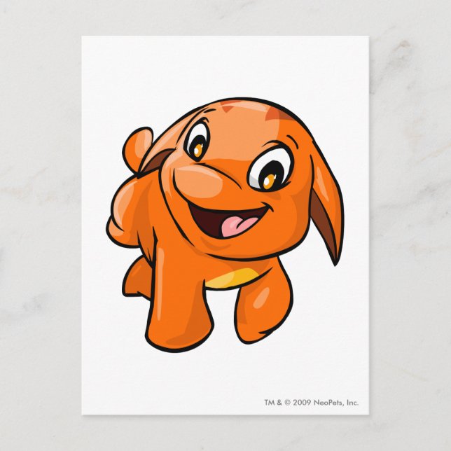 Postal Naranja de Poogle (Anverso)