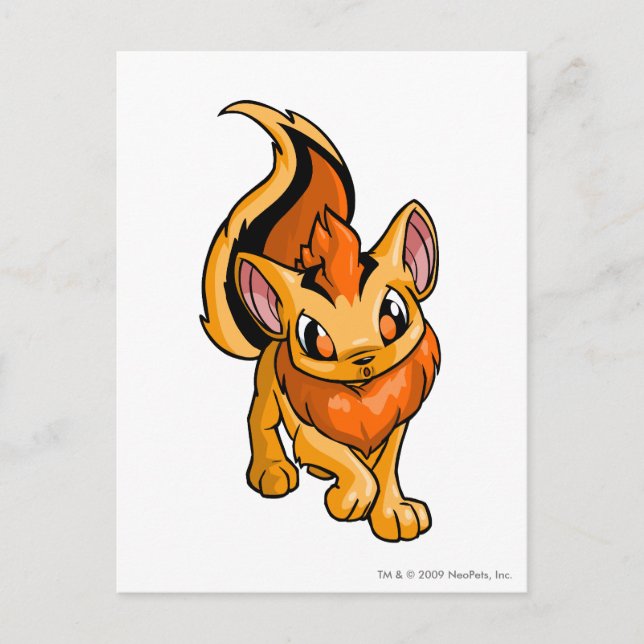 Postal Naranja de Xweetok (Anverso)
