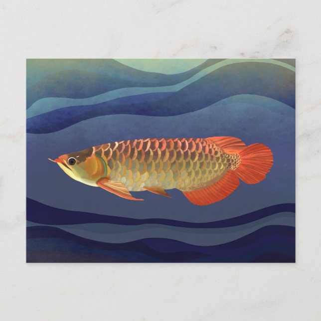 Postal Naranja Dorado Arowana Pescado Exquisito Acuático (Anverso)