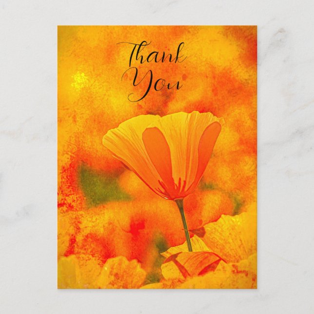 Postal Naranja Dorado California "Tierra De Naranjas" (Anverso)
