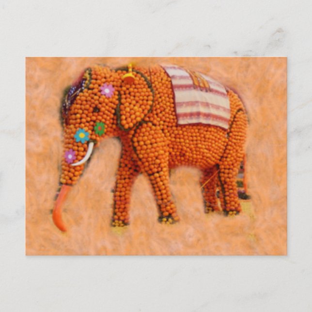 Postal Naranja Elephant (Anverso)