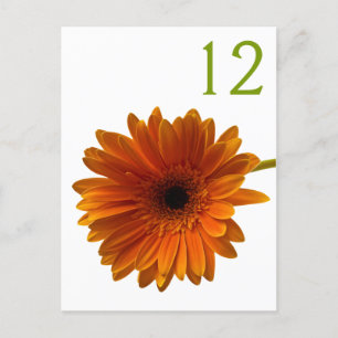 Postal Naranja Gerbera Daisy Table Number Card