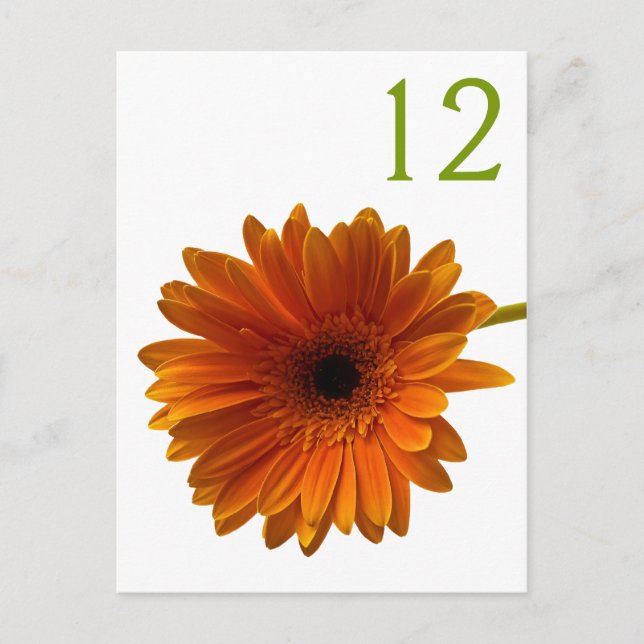 Postal Naranja Gerbera Daisy Table Number Card (Anverso)