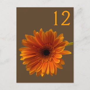 Postal Naranja Gerbera Daisy Table Number Card