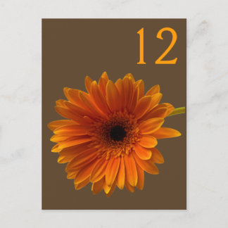 Postal Naranja Gerbera Daisy Table Number Card
