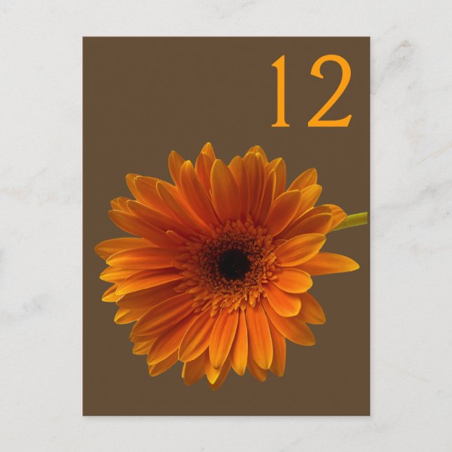 Postal Naranja Gerbera Daisy Table Number Card (Anverso)