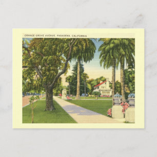 Postal Naranja Grove Ave., Pasadena, California Vintage