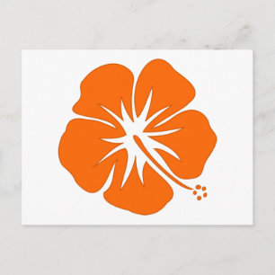 Postal Naranja Hibiscus