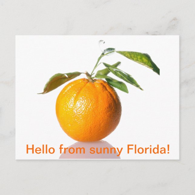 Postal naranja - ¡hola desde la soleada Florida! (Anverso)