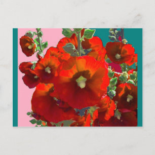 Postal Naranja Hollyhock Garden Gifts