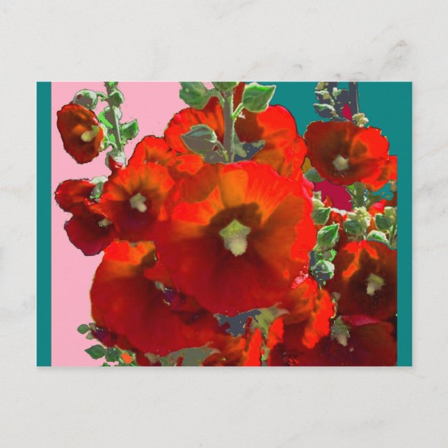 Postal Naranja Hollyhock Garden Gifts (Anverso)