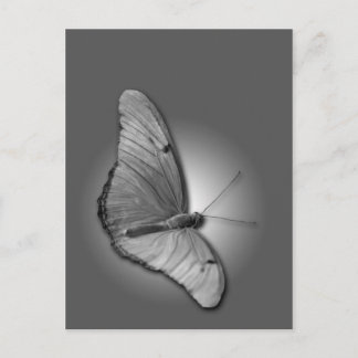 Postal Naranja Julia