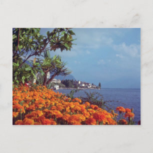 Postal Naranja Lago Ginebra, Montreux, flores de Suiza