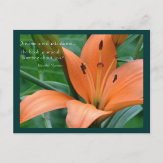Postal Naranja Lily