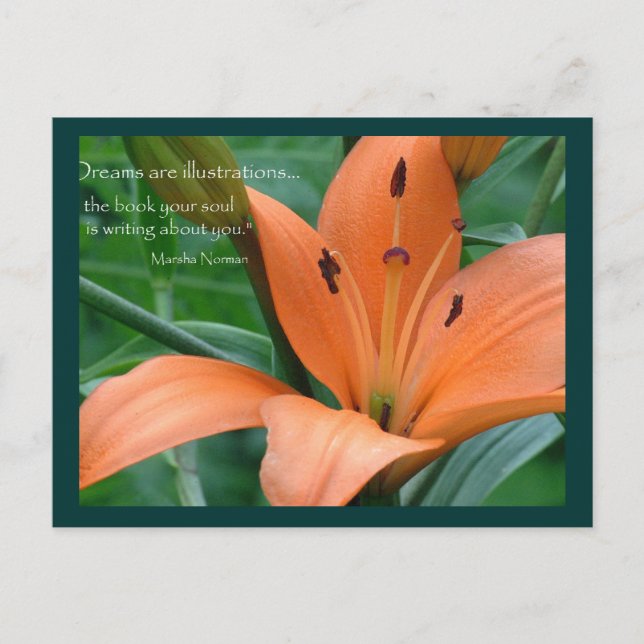 Postal Naranja Lily (Anverso)