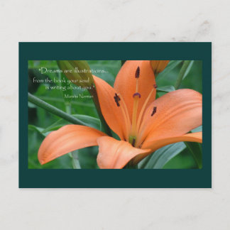 Postal Naranja Lily