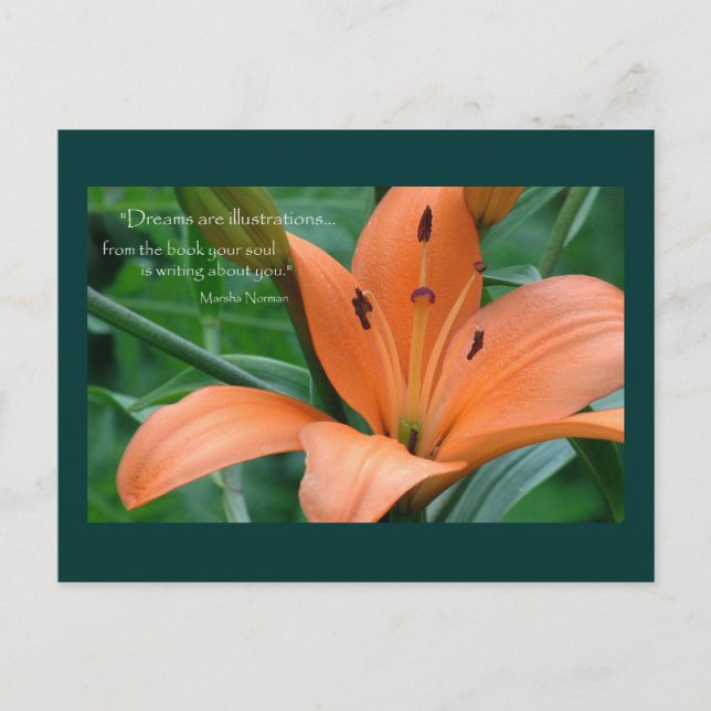 Postal Naranja Lily (Anverso)