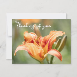 Postal Naranja Lily Pensando En Ti