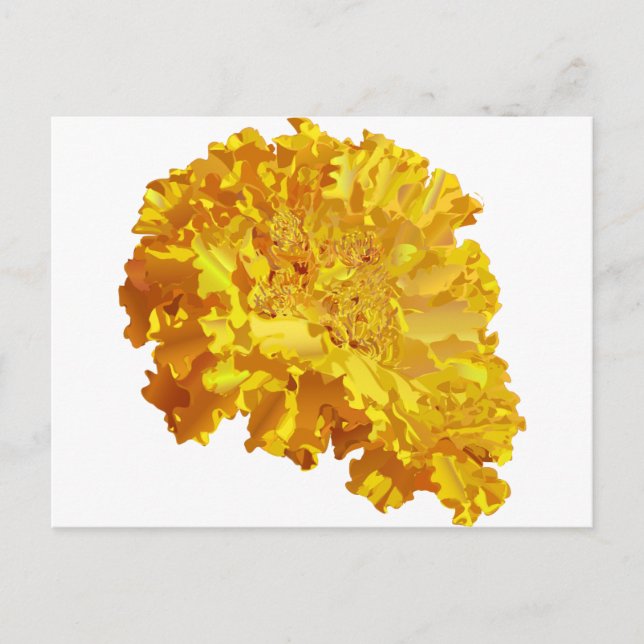 Postal Naranja Marigold (Anverso)