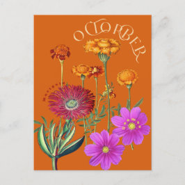 Postal Naranja Marigold Cosmos del mes de octubre