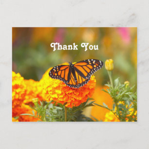 Postal Naranja Marigold Foto Gracias