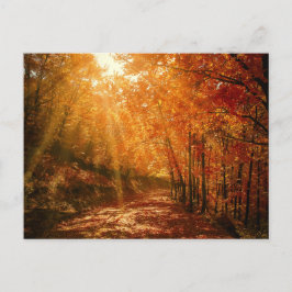 Postal Naranja Marrón Otoño Fotografía de la naturaleza f
