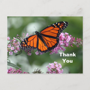 Postal Naranja Monarca Mariposa Floral Foto Gracias