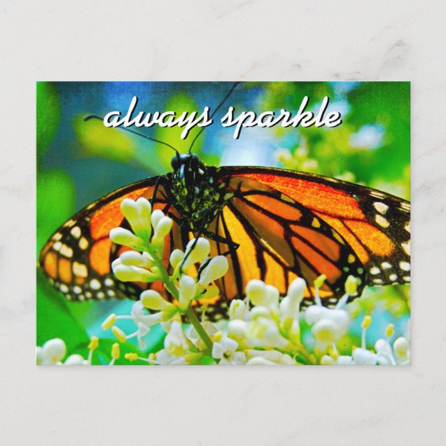 Postal Naranja Monarch Butterfly Photo Always Sparkle (Anverso)