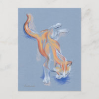 Naranja Pastel de gato y tabú blanco sobre azul
