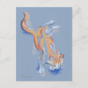 Postal Naranja Pastel de gato y tabú blanco sobre azul