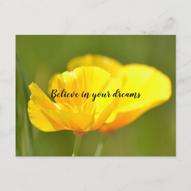 Postal Naranja Poppies (Anverso)