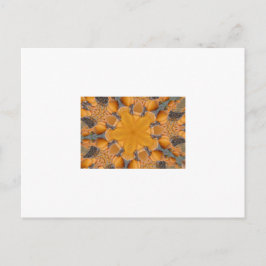Postal Naranja Pumpkin Kaleidoscope