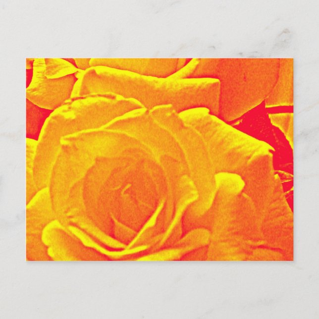 Postal naranja rosa fluorescente (Anverso)