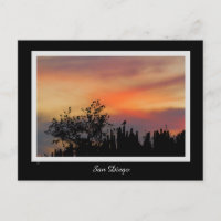 Naranja rosado de San Diego del pájaro dramático