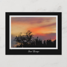 Postal Naranja rosado de San Diego del pájaro dramático