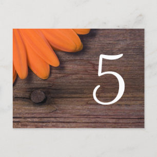 Postal Naranja Rústico Daisy Country Wedding Table Number