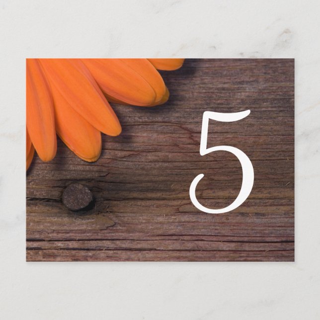 Postal Naranja Rústico Daisy Country Wedding Table Number (Anverso)