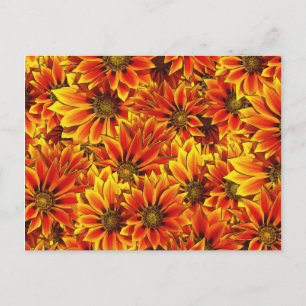 Postal Naranja Sunflowers