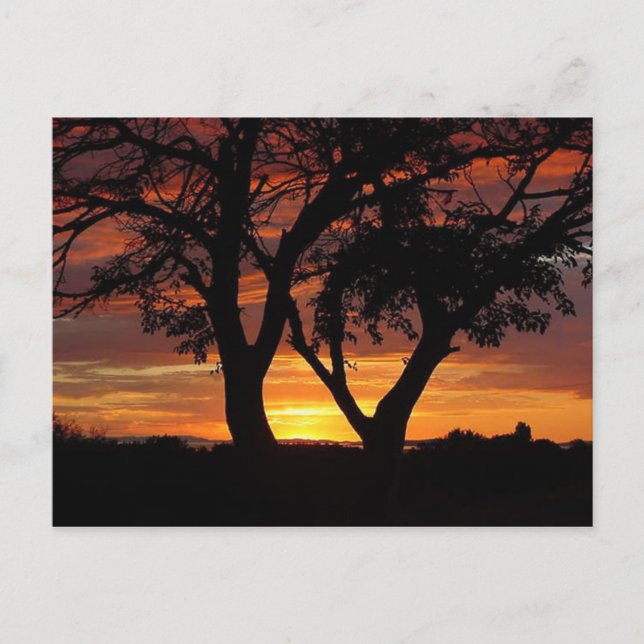 Postal Naranja Sunset (Anverso)